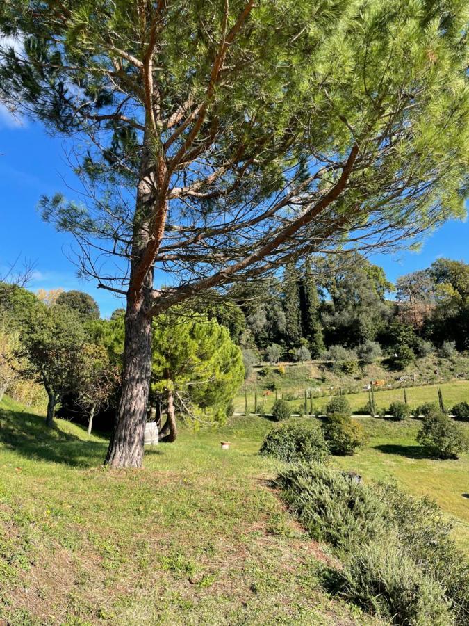 סינאלונגה Resort Panoramico Canale Suite - Private Parking - Natural Park מראה חיצוני תמונה