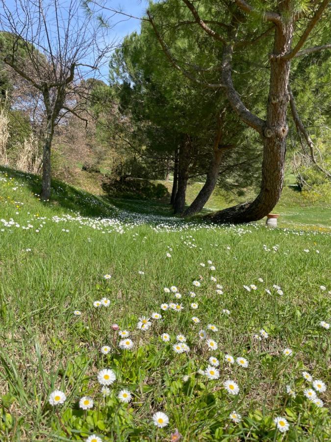 סינאלונגה Resort Panoramico Canale Suite - Private Parking - Natural Park מראה חיצוני תמונה