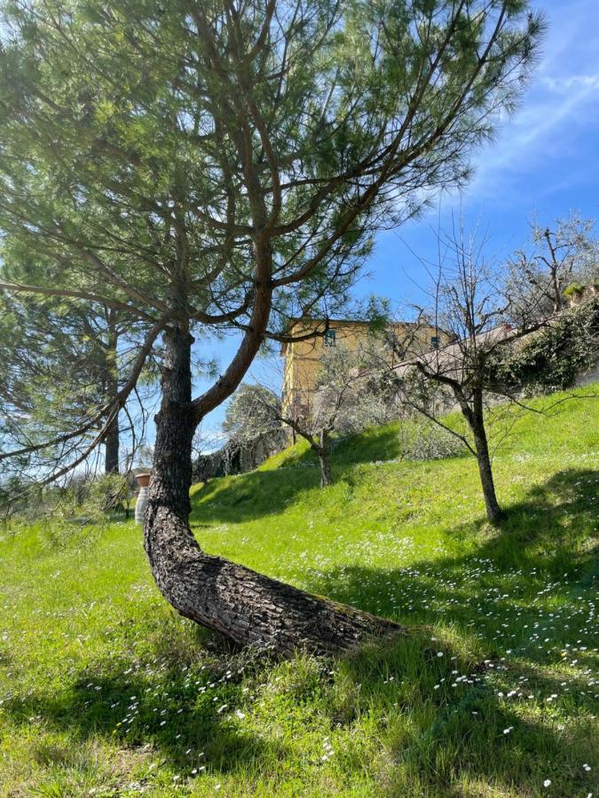 סינאלונגה Resort Panoramico Canale Suite - Private Parking - Natural Park מראה חיצוני תמונה