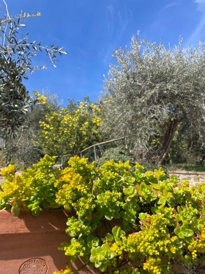 סינאלונגה Resort Panoramico Canale Suite - Private Parking - Natural Park מראה חיצוני תמונה