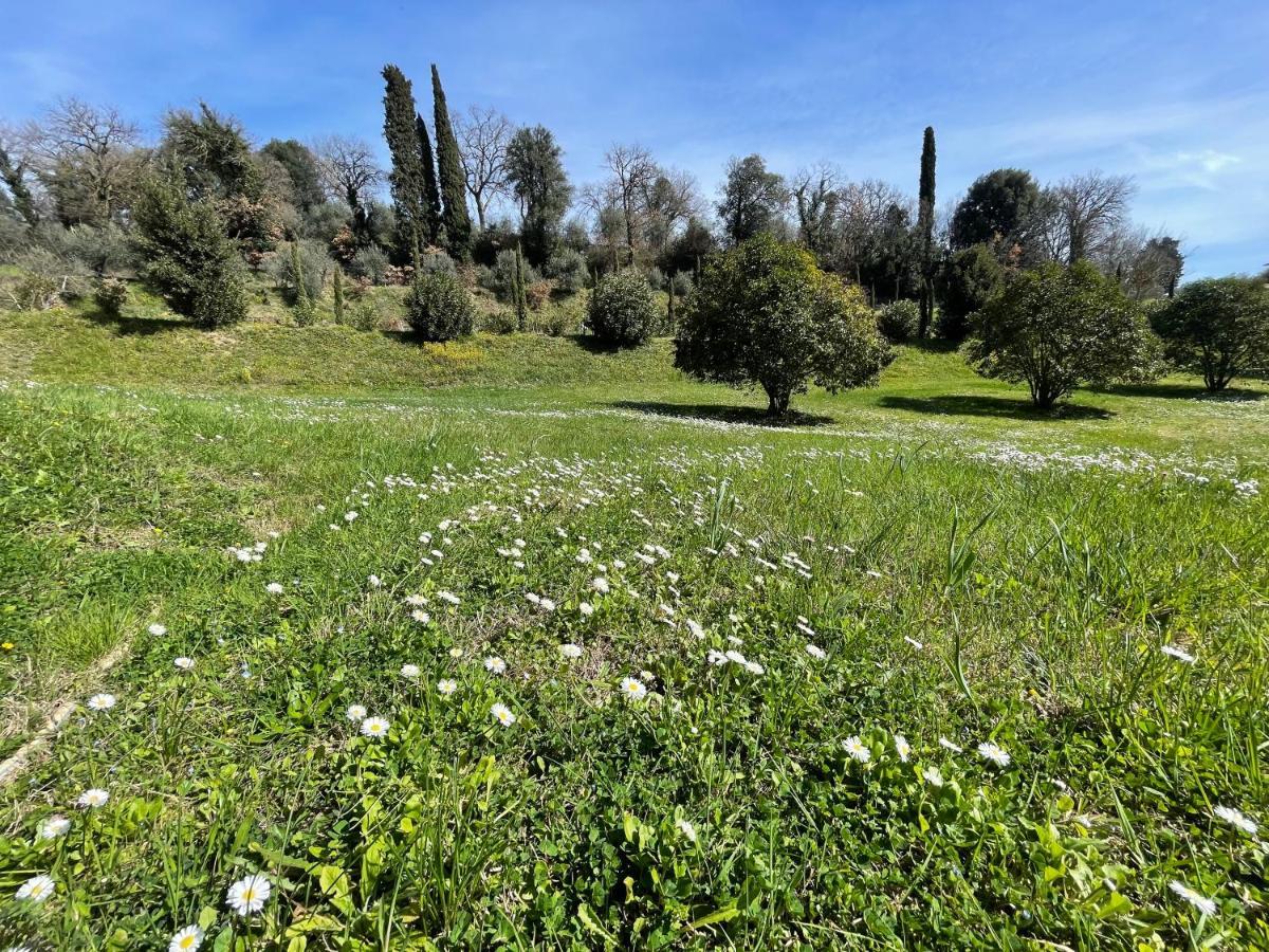 סינאלונגה Resort Panoramico Canale Suite - Private Parking - Natural Park מראה חיצוני תמונה