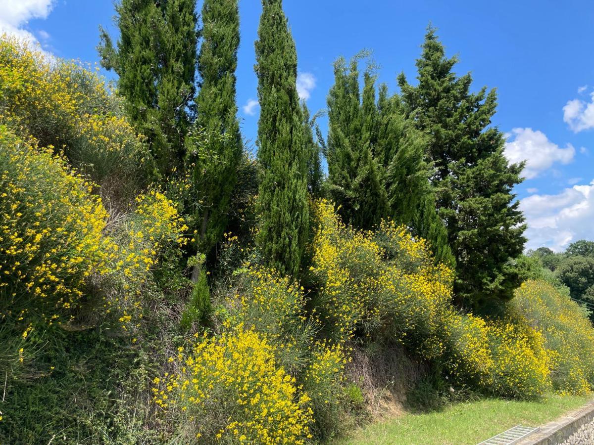 סינאלונגה Resort Panoramico Canale Suite - Private Parking - Natural Park מראה חיצוני תמונה